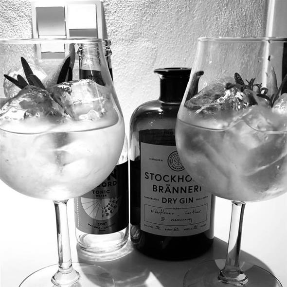 Ginsmagning 24/1-2020